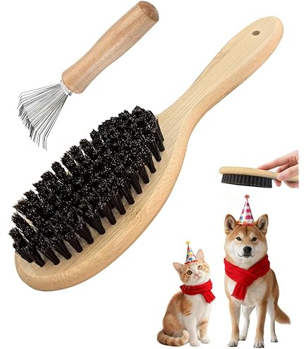 Amazon.co.jp: BIOGANCE 獣毛ブラシ 化粧箱入り 高級ナッツの木使用